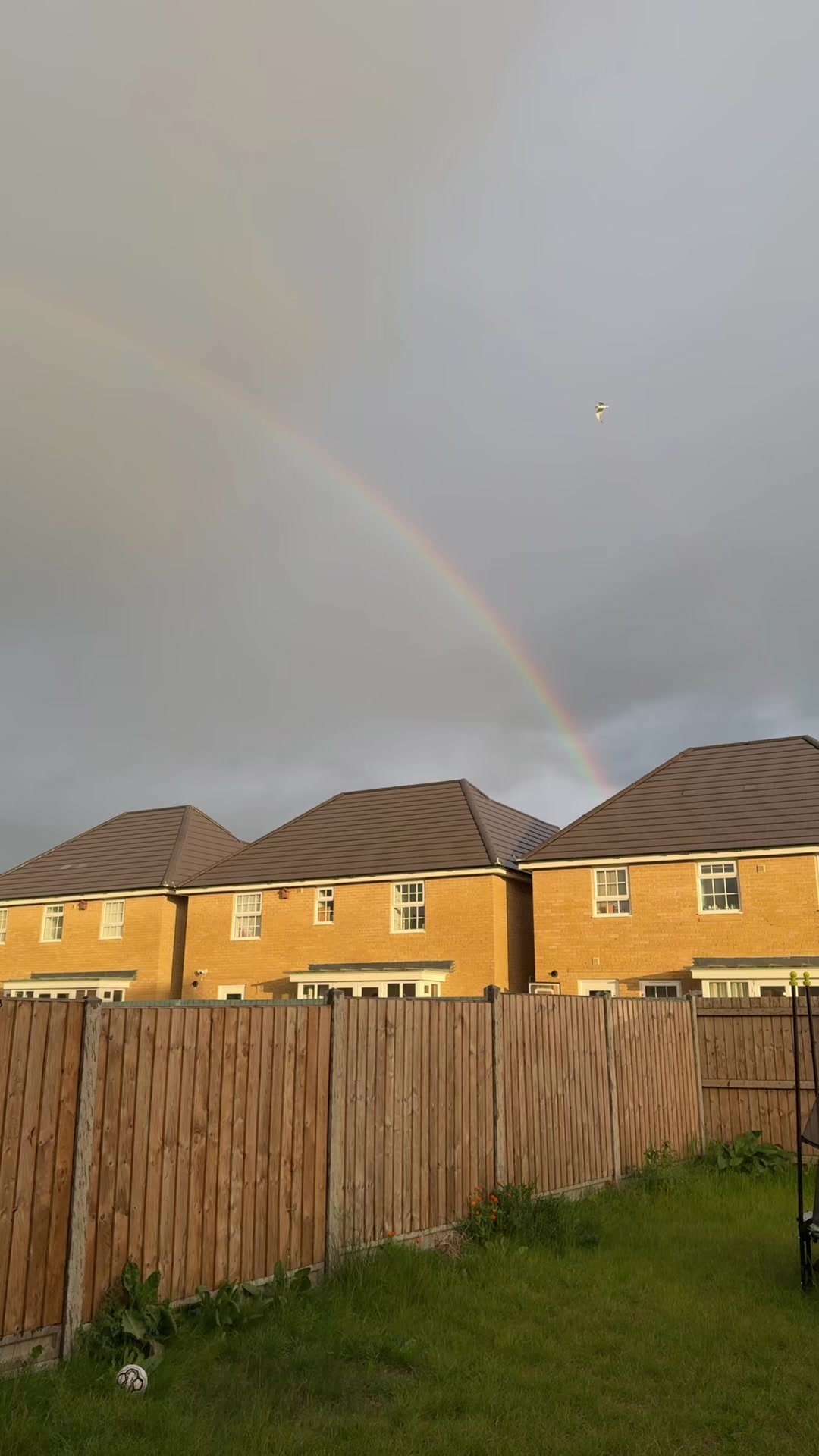 @Jackie 💕
