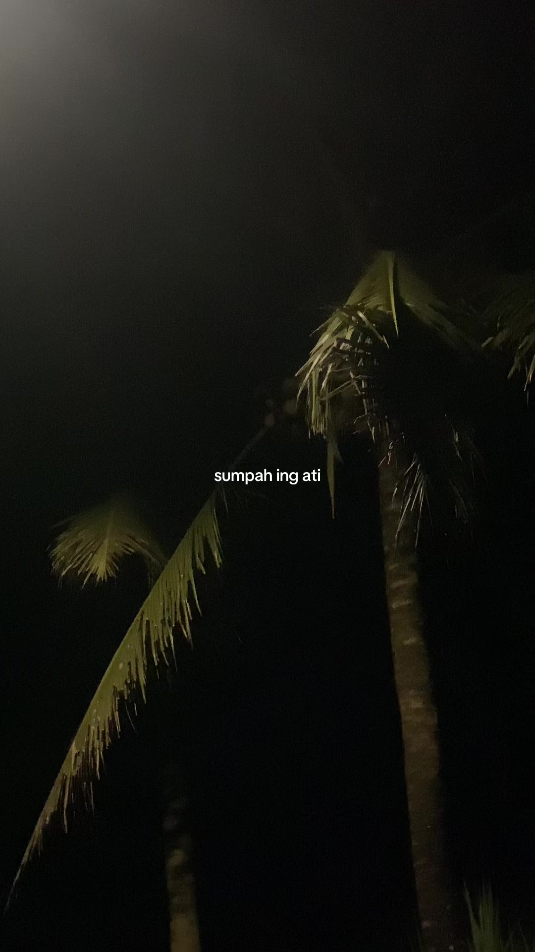 @rastafara