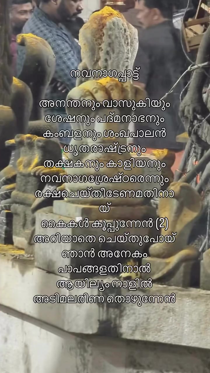 @Arya R Kurup