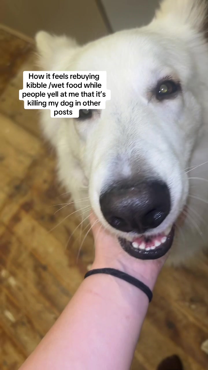 @Barksnbites