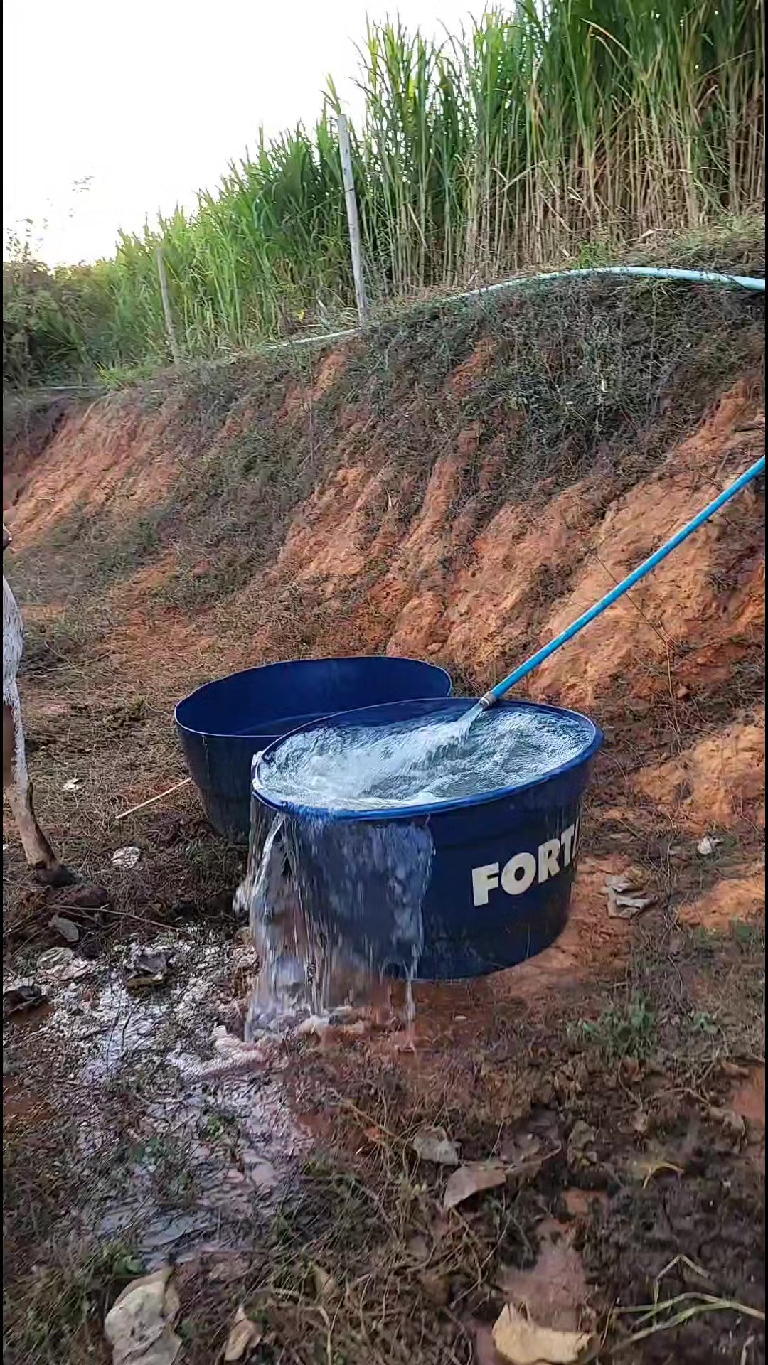 @Jardel Ferreira