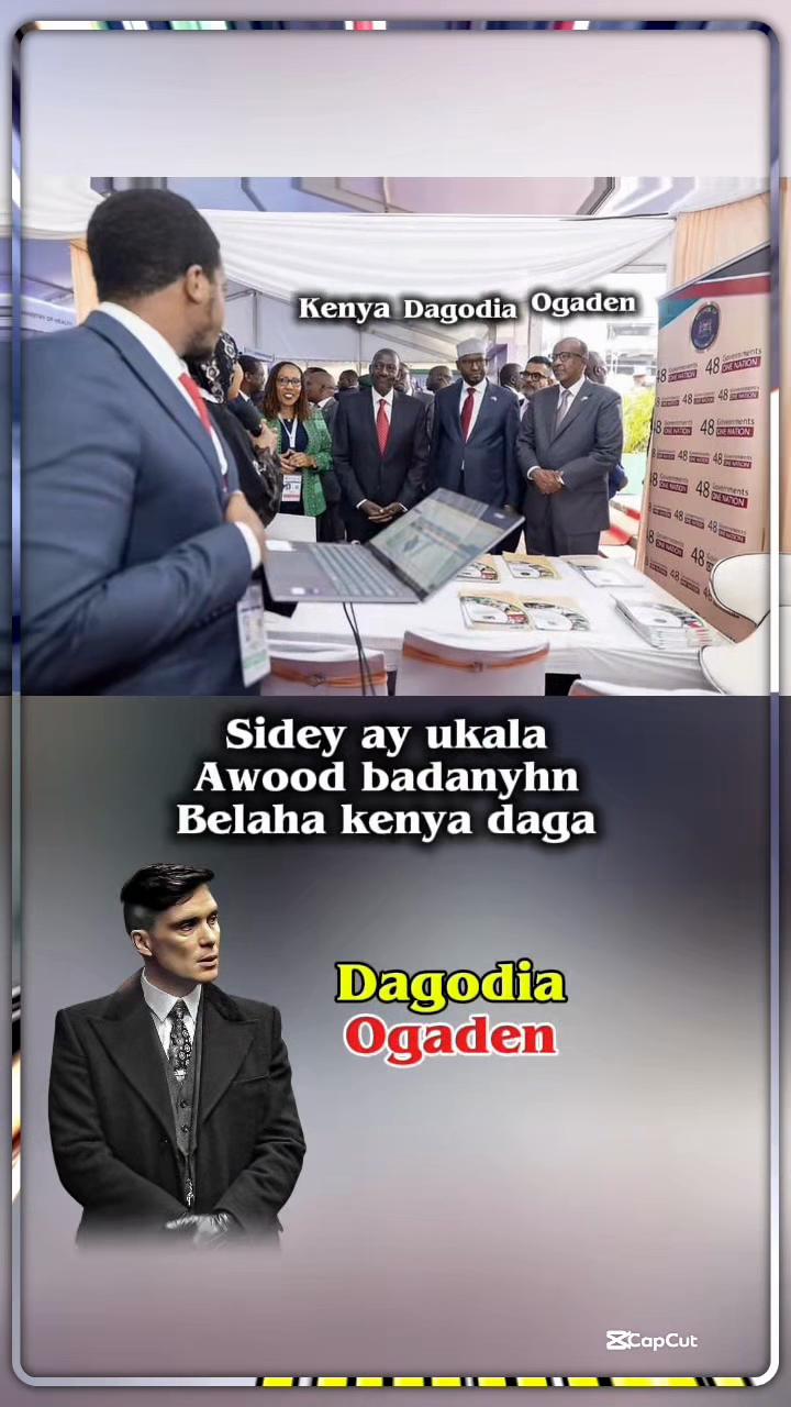 @TV_DAGODIA🇭🇹🦁🫡🦅🚨
