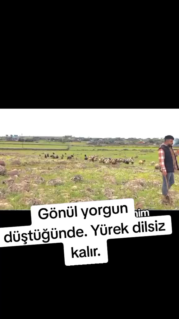 @M Nuri
