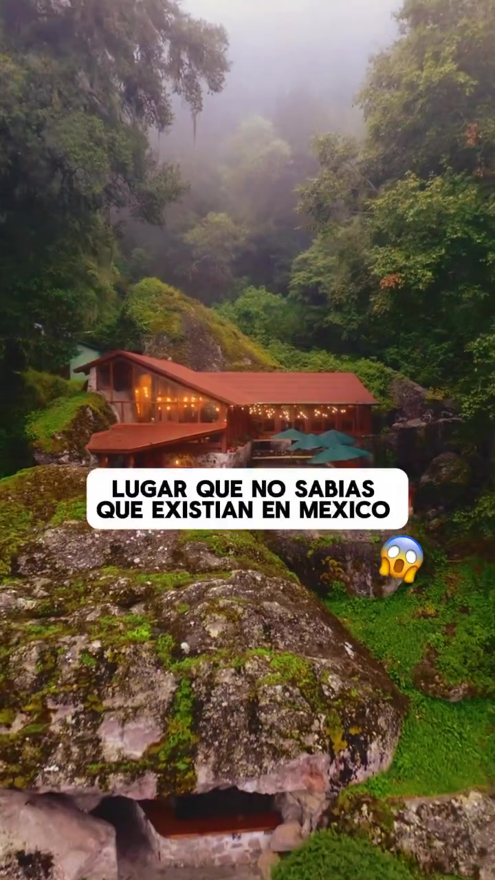 @niveckbritto
