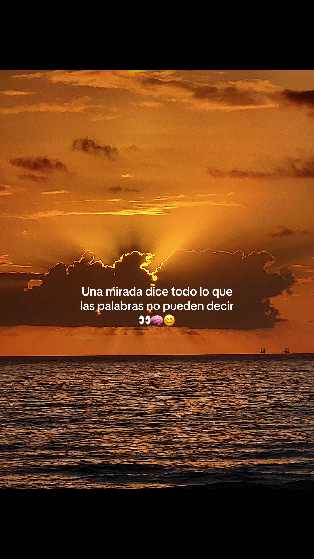 @VIVI➳❥