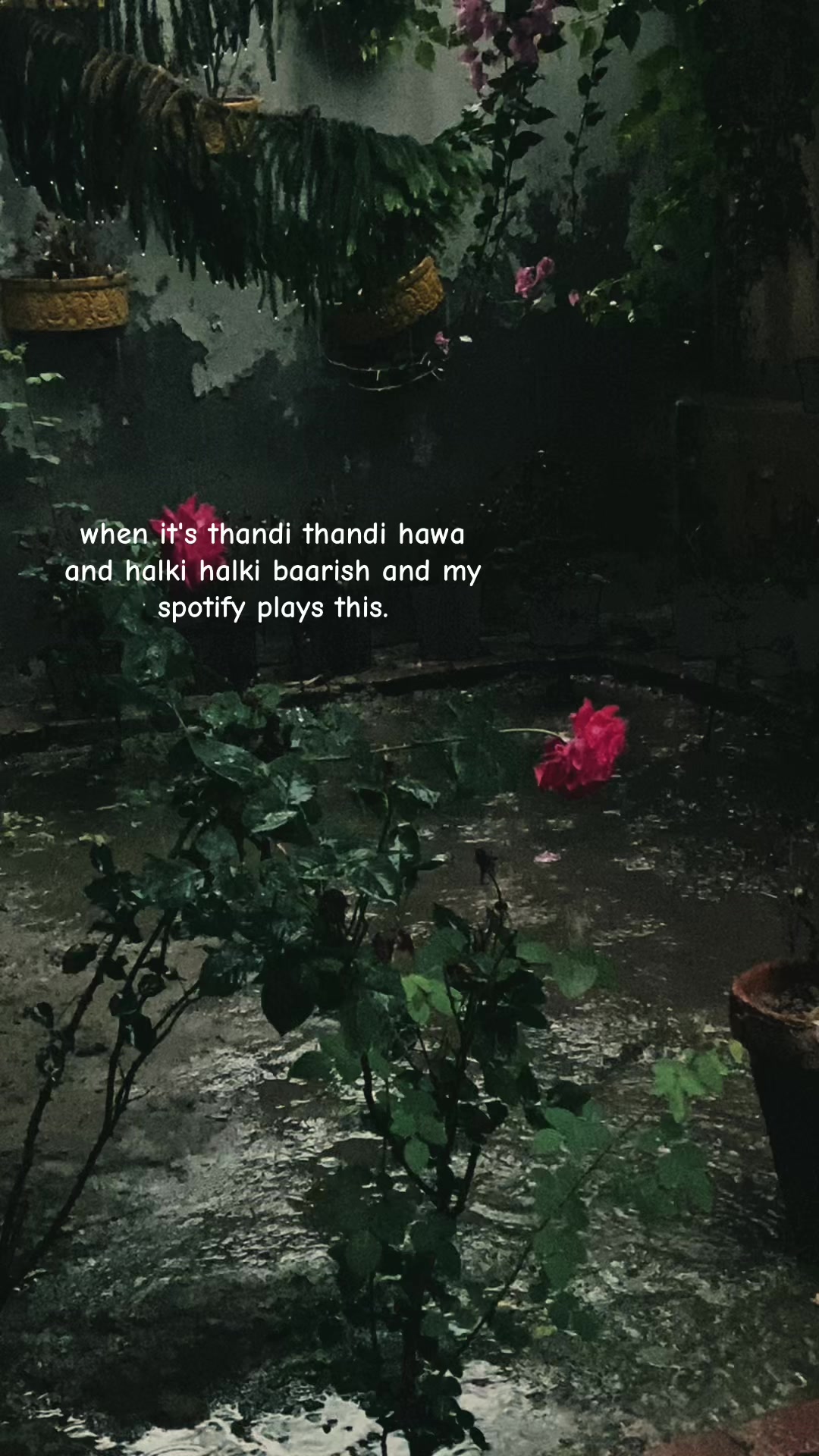 @Nooray🌙