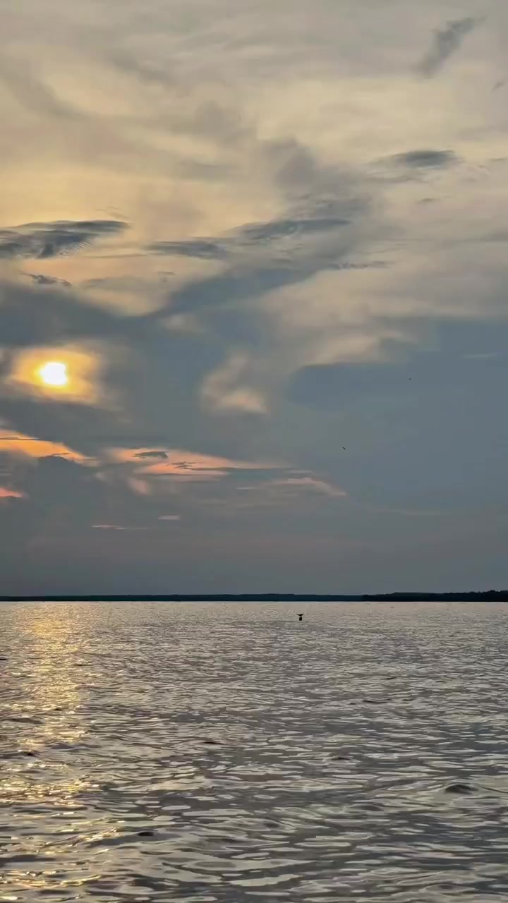 @Ryy15