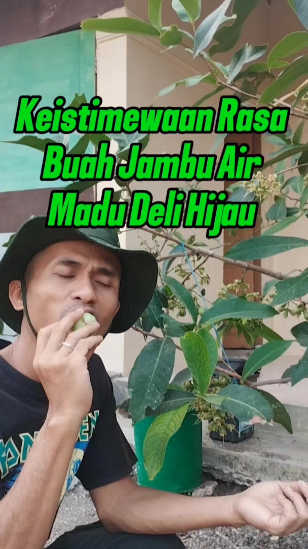 @Bukit Farming