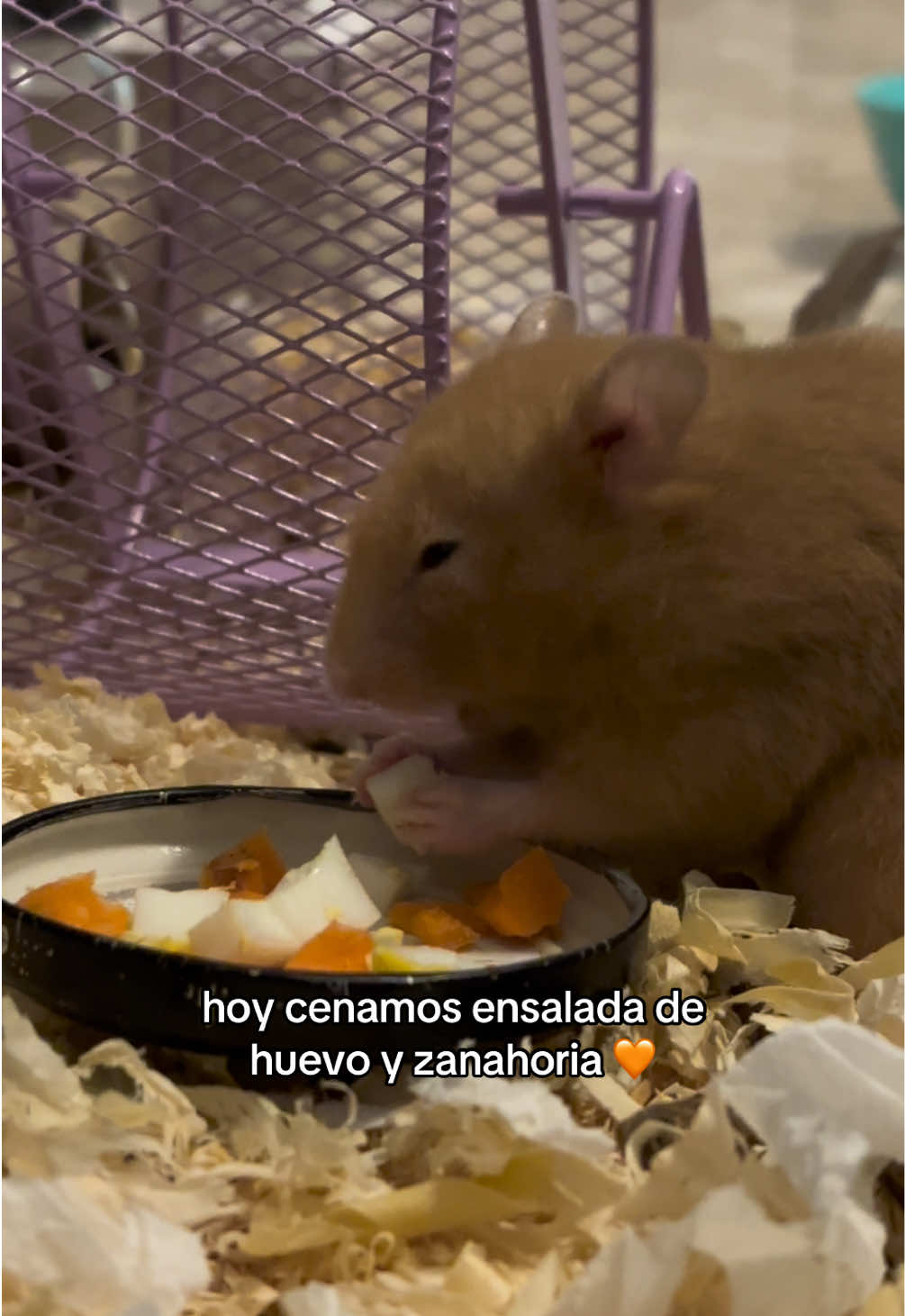 @Meli
