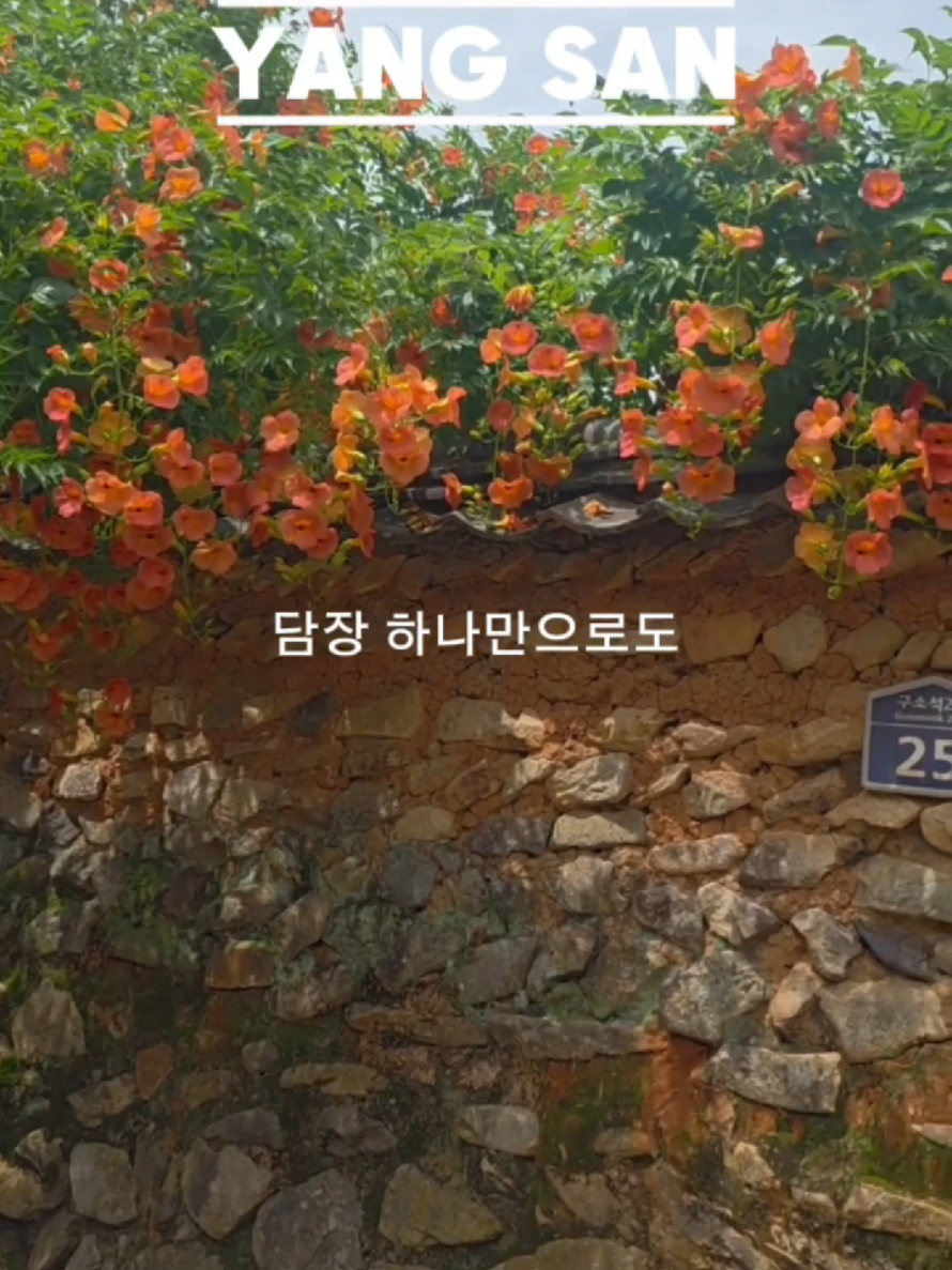 @오찬물