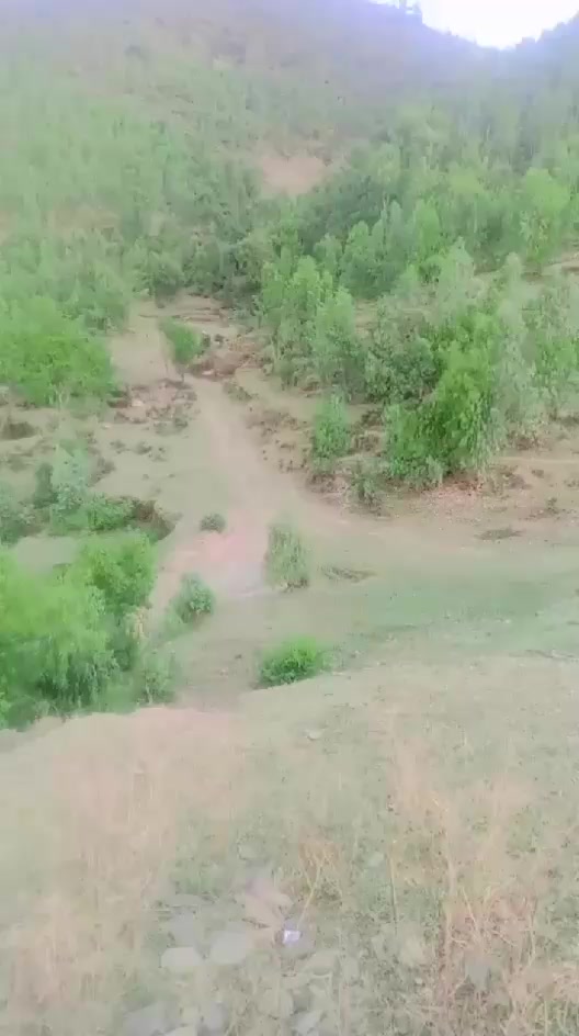 @A🆃🆃🅸🆀.▄℠︻̷̿┻̿═━一💥عباسئ