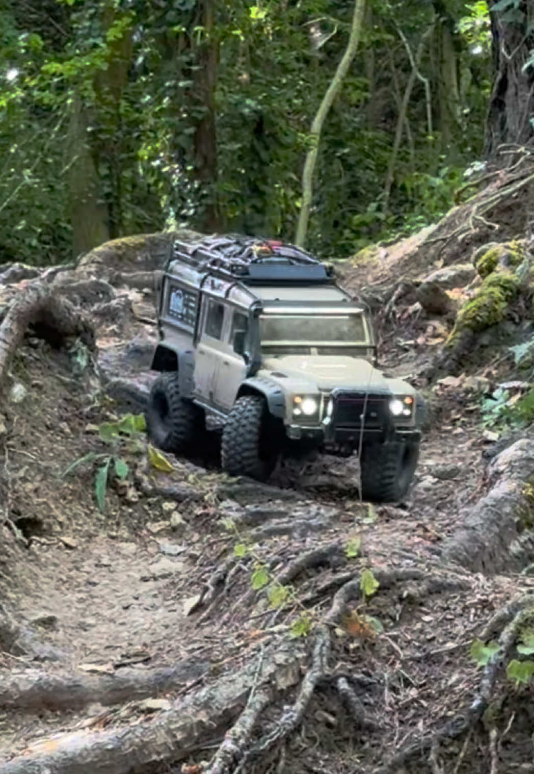 @scale.trailz
