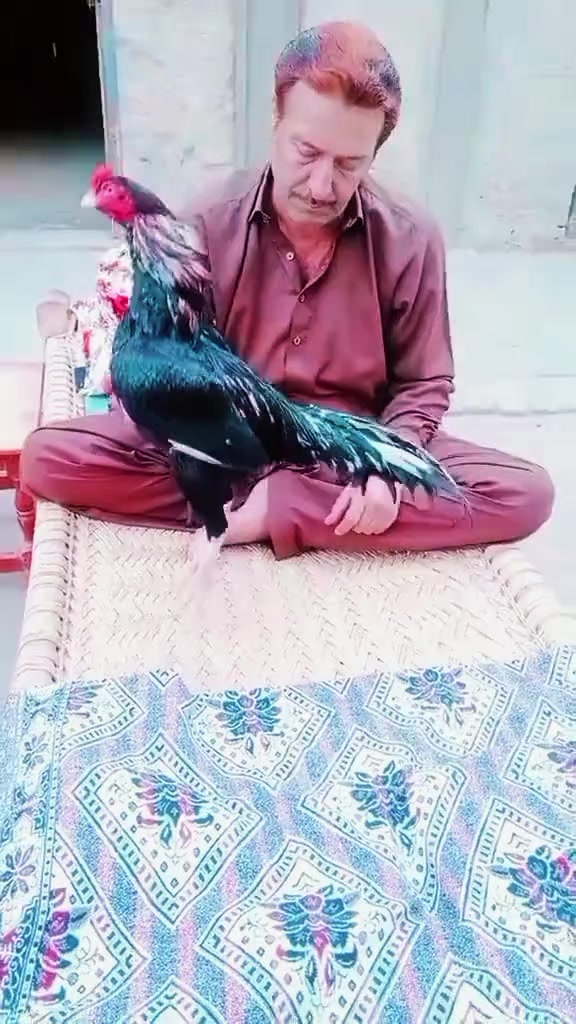 @ustadfarooqazamkhan