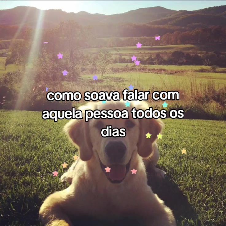 @Lari