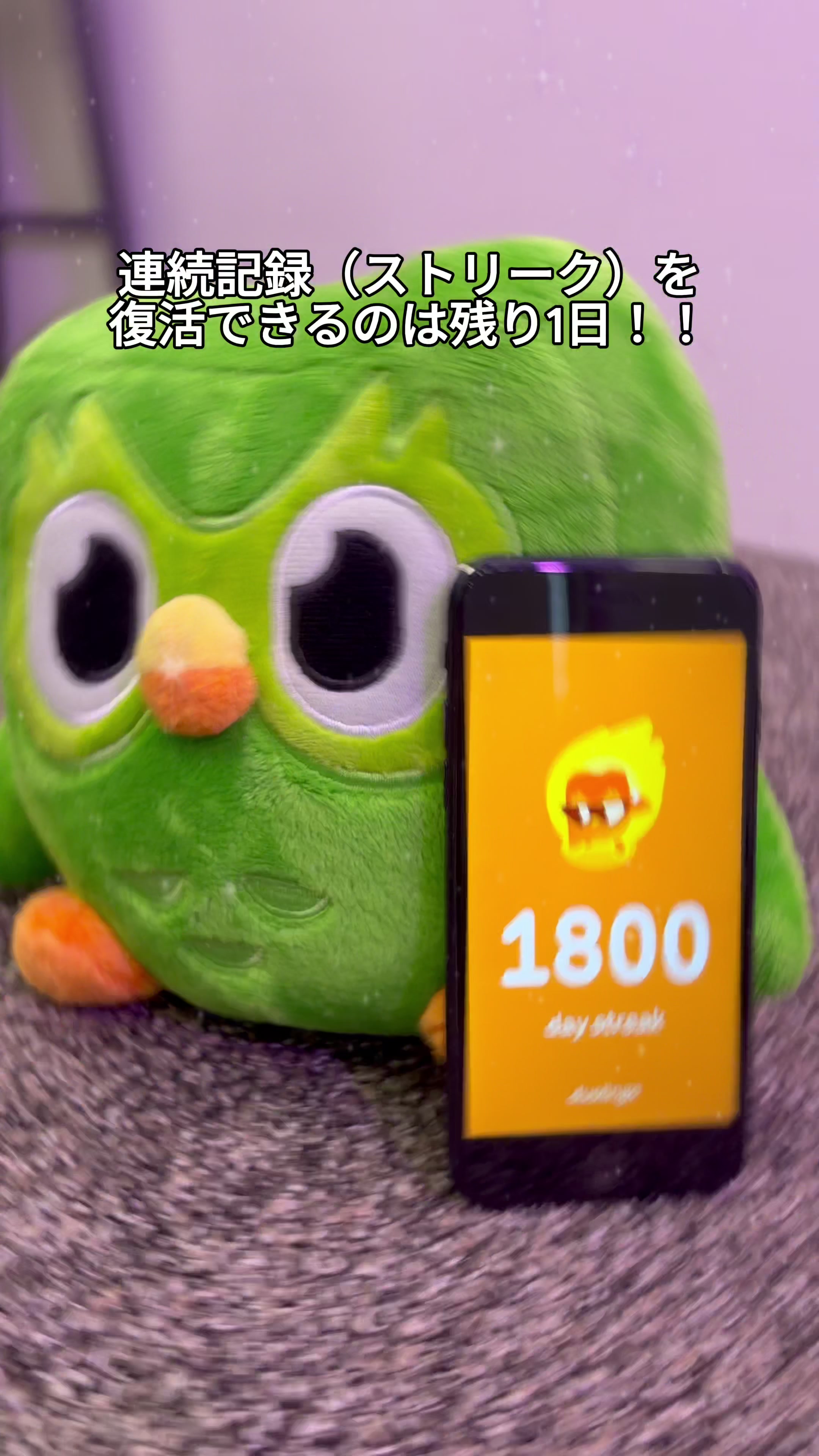 @Duolingo Japanð¯ðµ