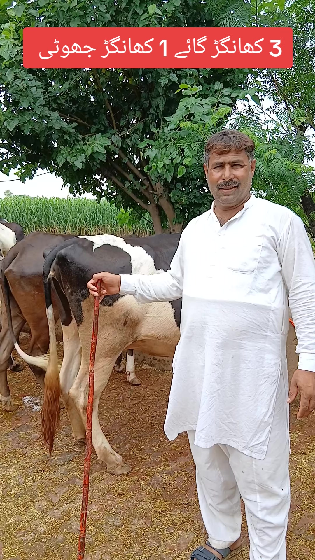 @Farming and Business Ideas