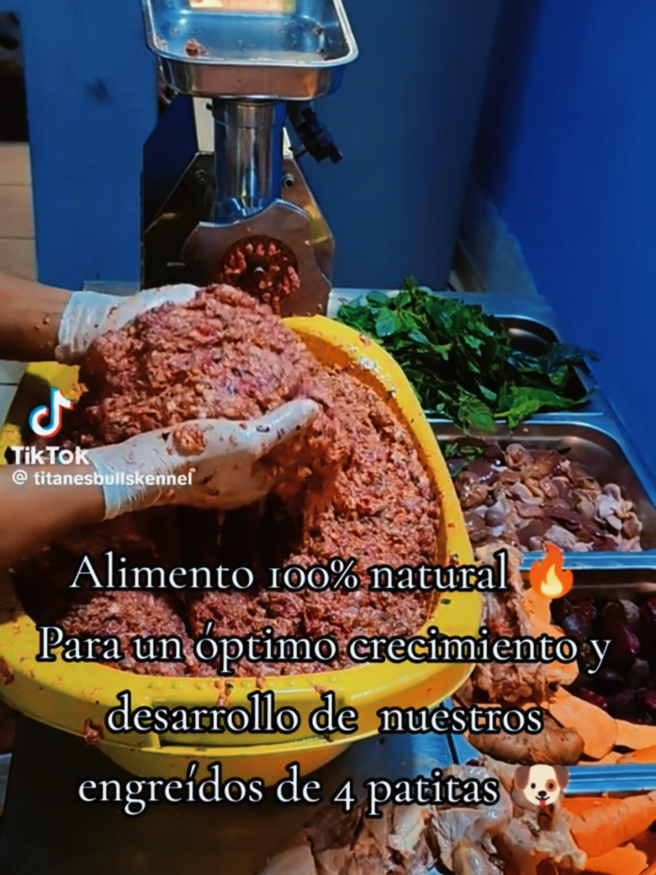 @arevalobullsper&uacute;