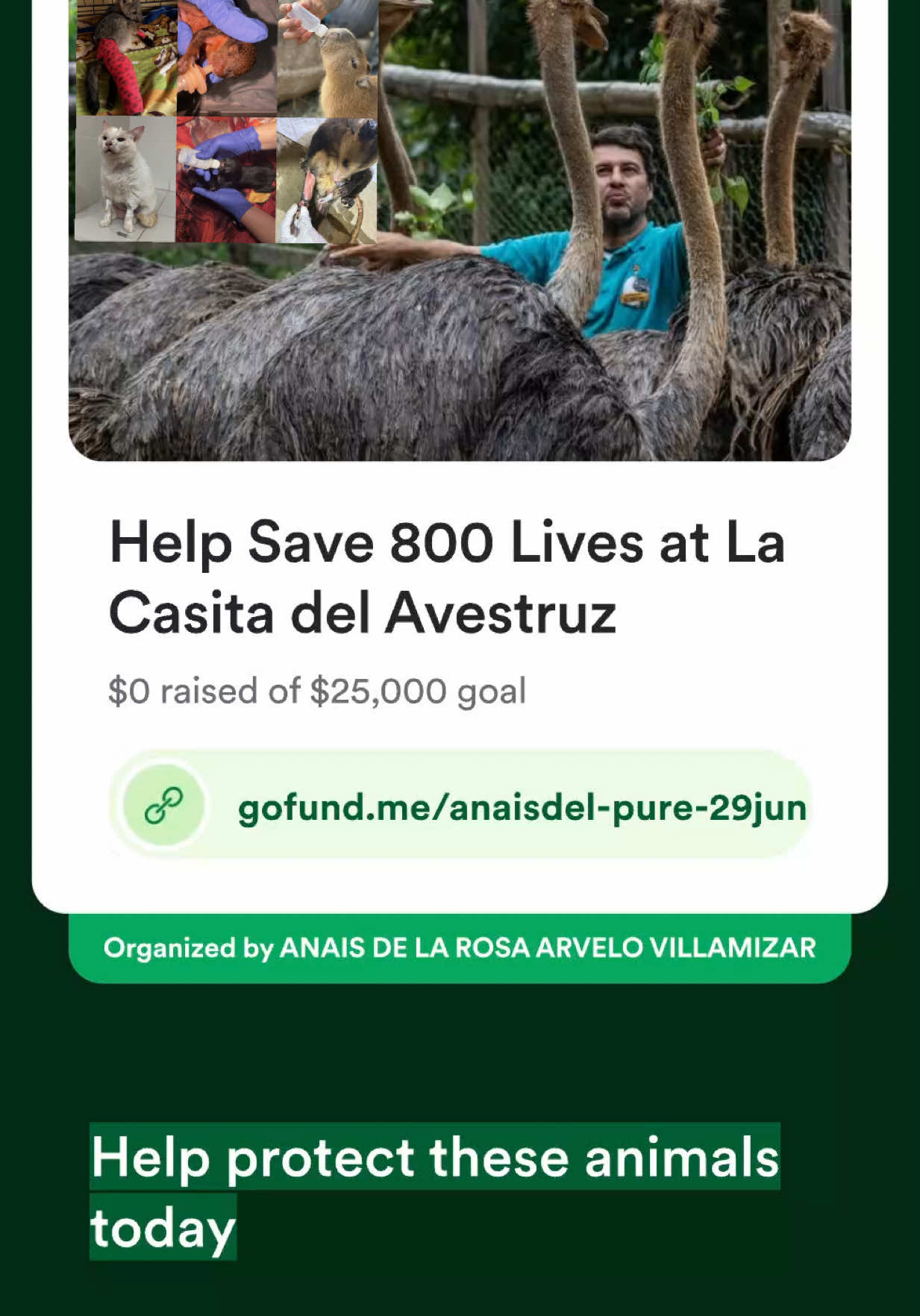 @La Casita del Avestruz