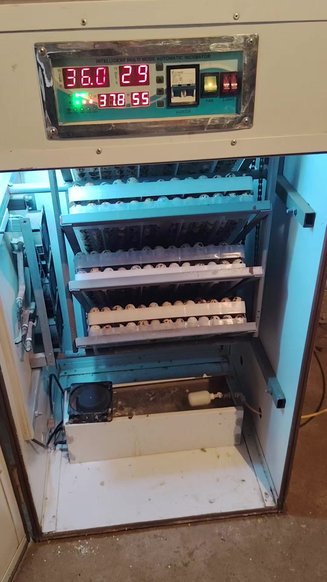 @Faxriddin99