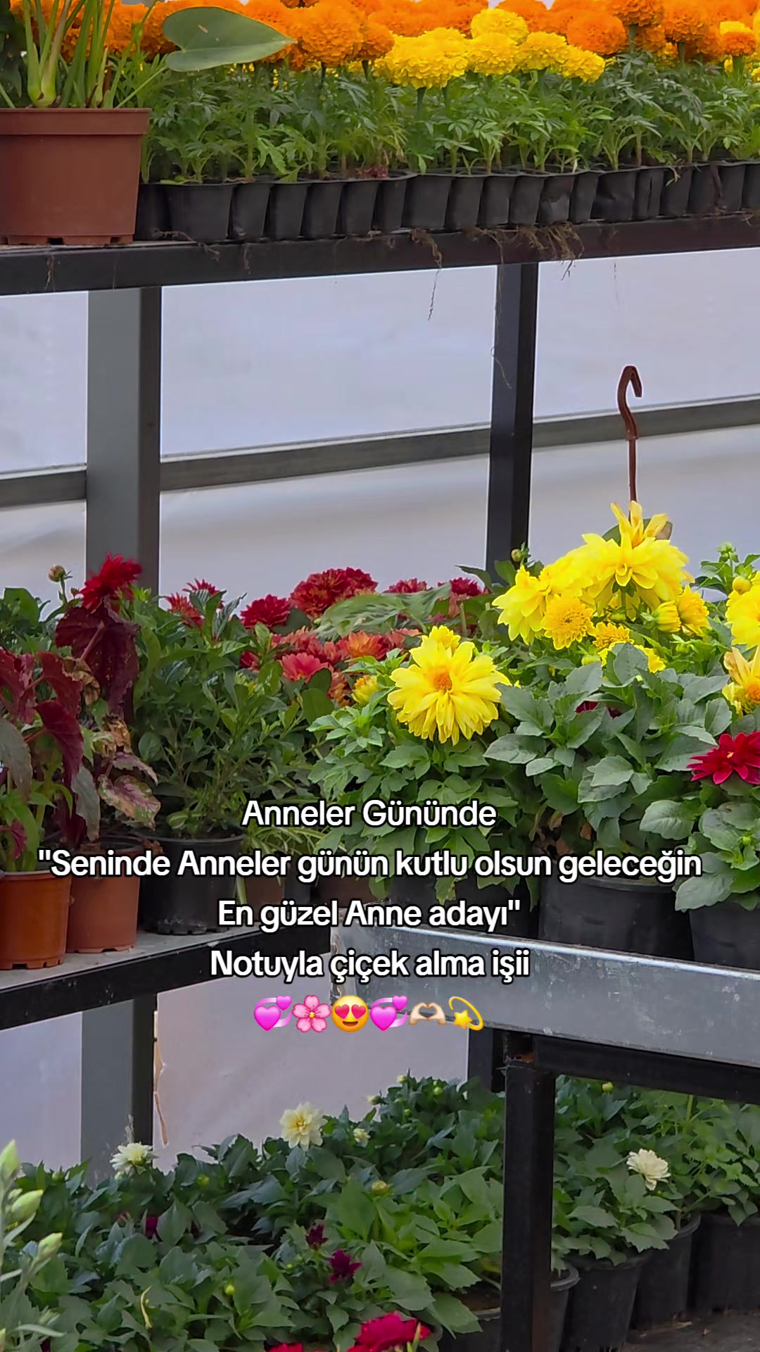 @Botanik bah&ccedil;esi flora