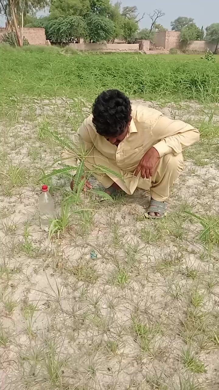 @Nazim Malik199