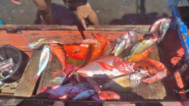 @FaridSigar🎣