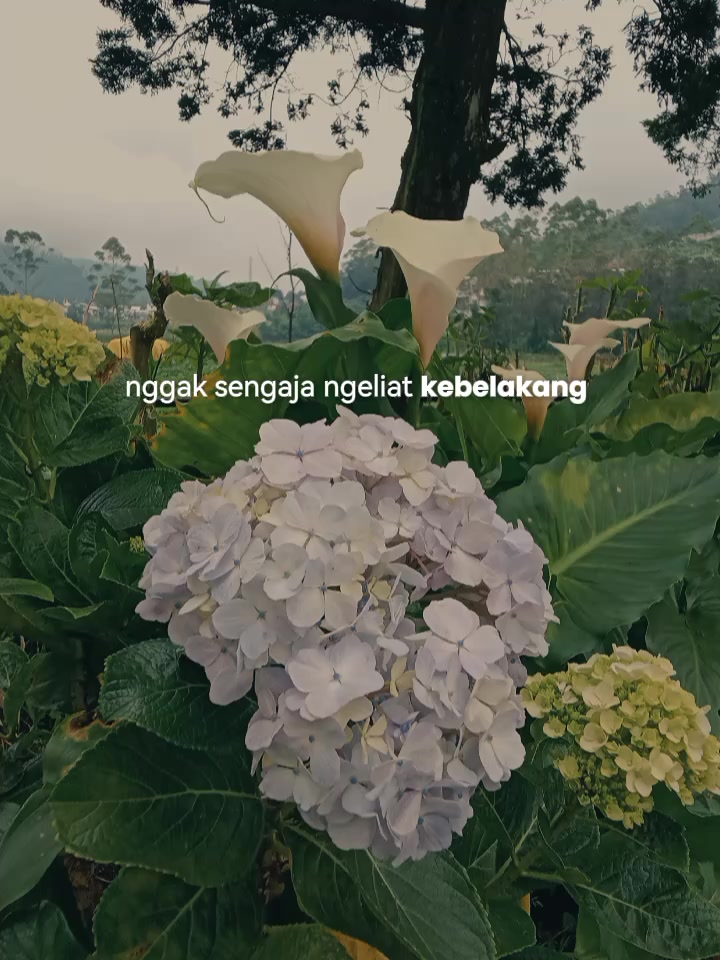 @🥀