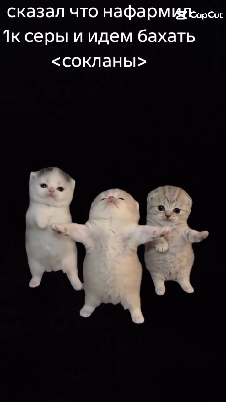 @куль_oxide