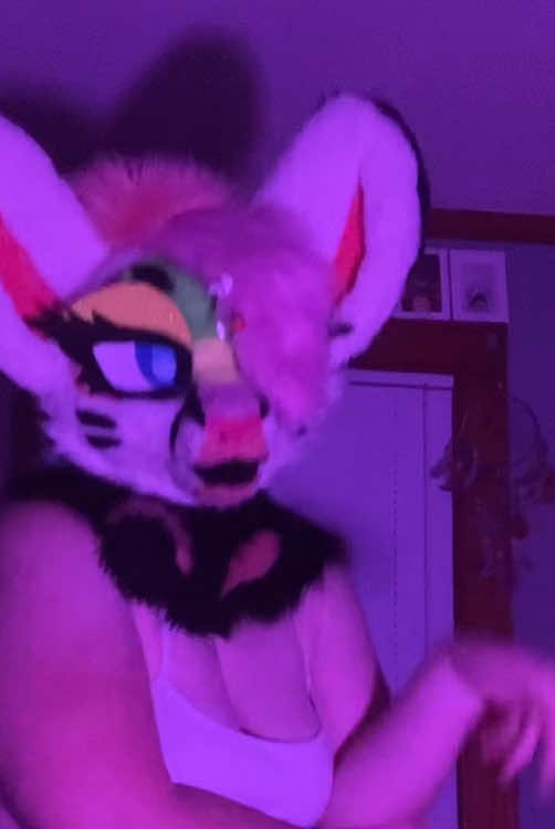 @Liger~Liger🐾🍉->FSC 26!!!