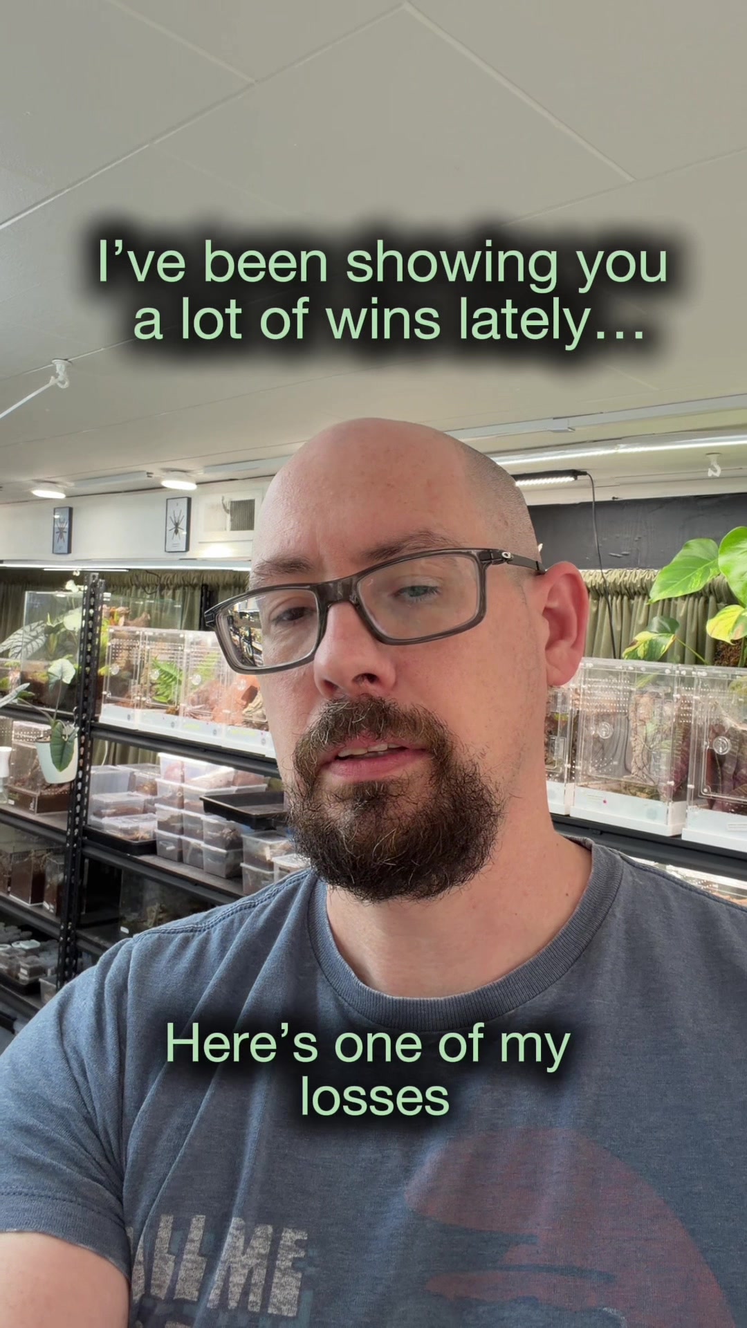 @Spider Conservatory