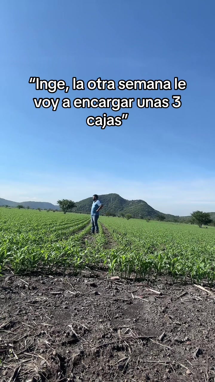 @deas10