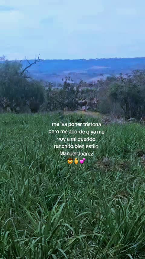 @MrsGonzalez♡