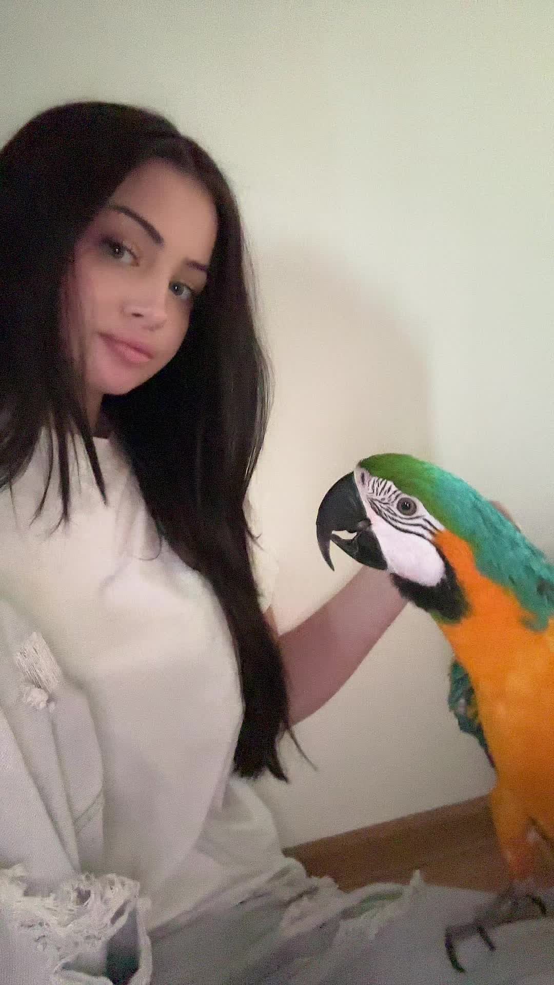 @krzyniu