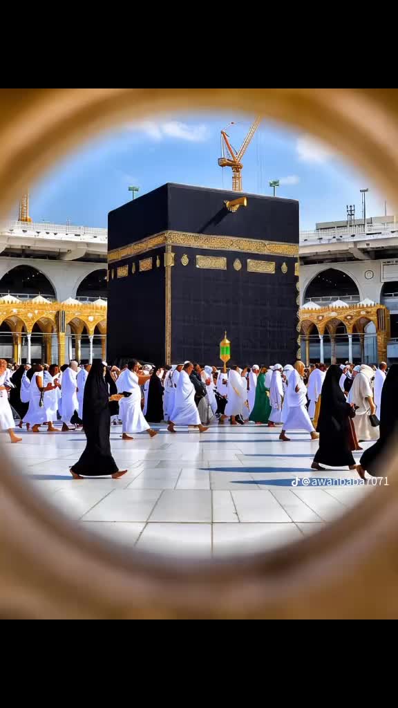 @usmanabbas295