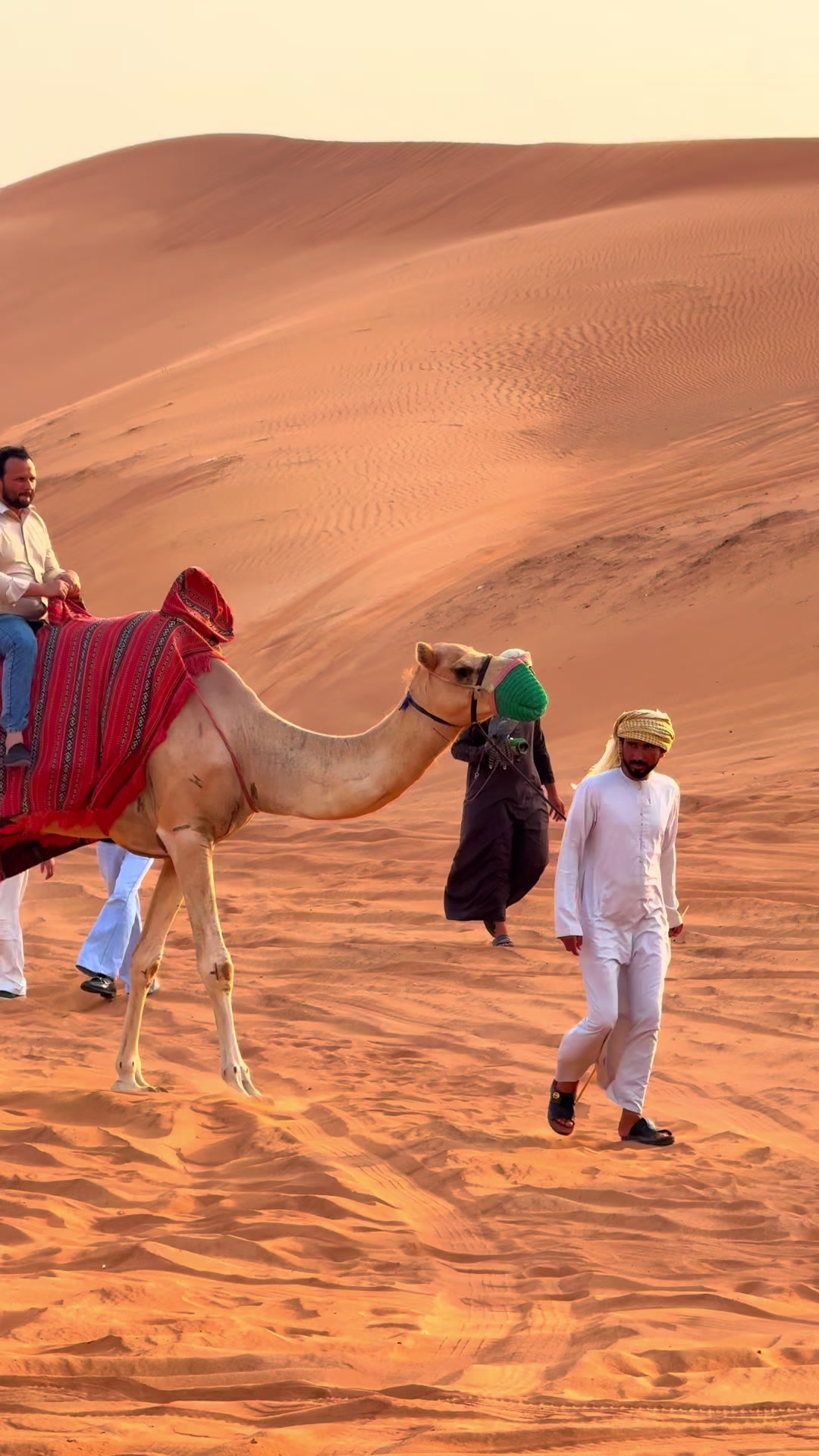 @Golden sand desert safari