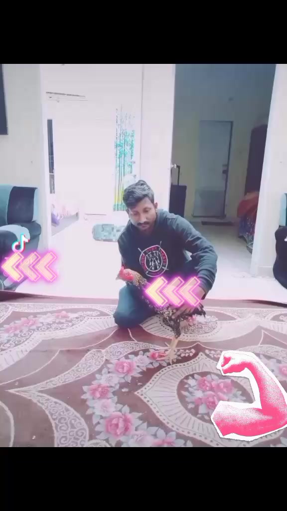 @anilchohan109