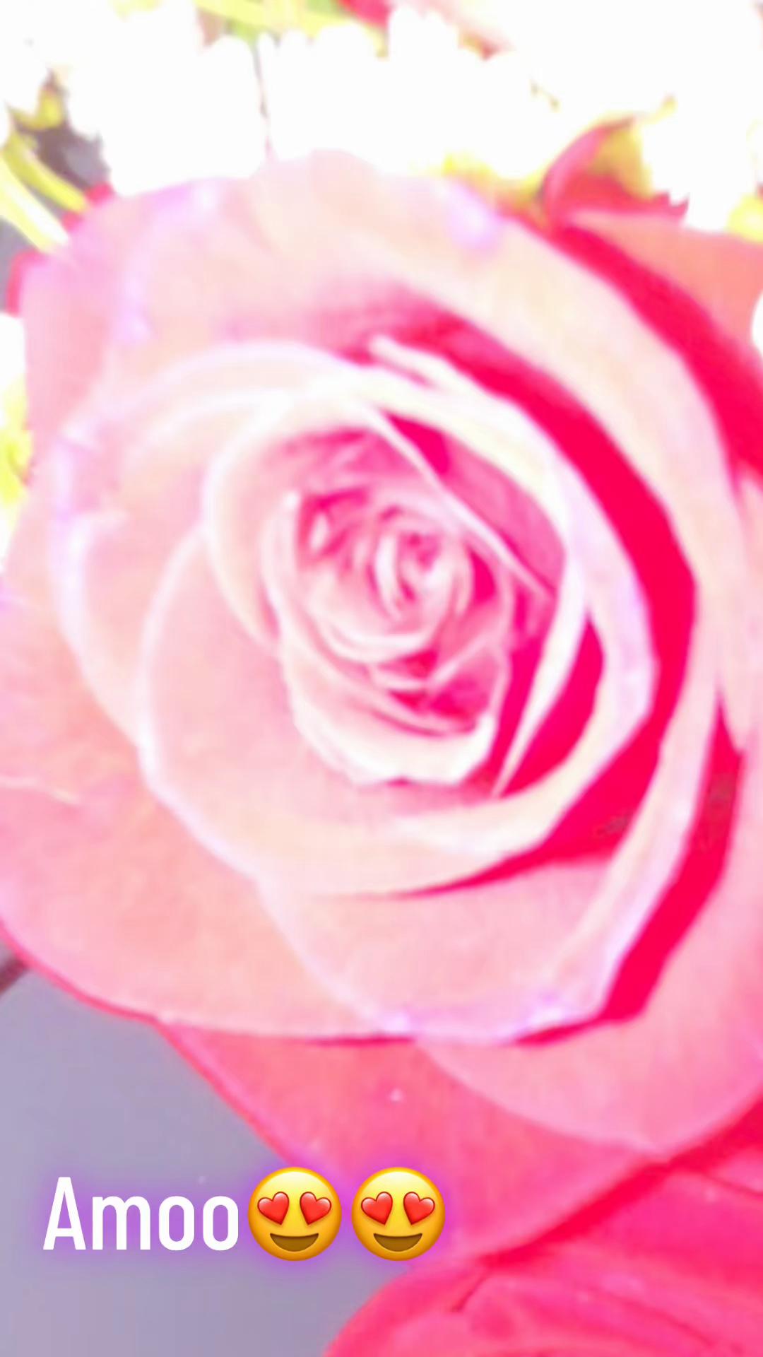 @🍒𝔹𝔼𝕋𝕋𝕐 ℝ𝕄ℝℤ 🍒