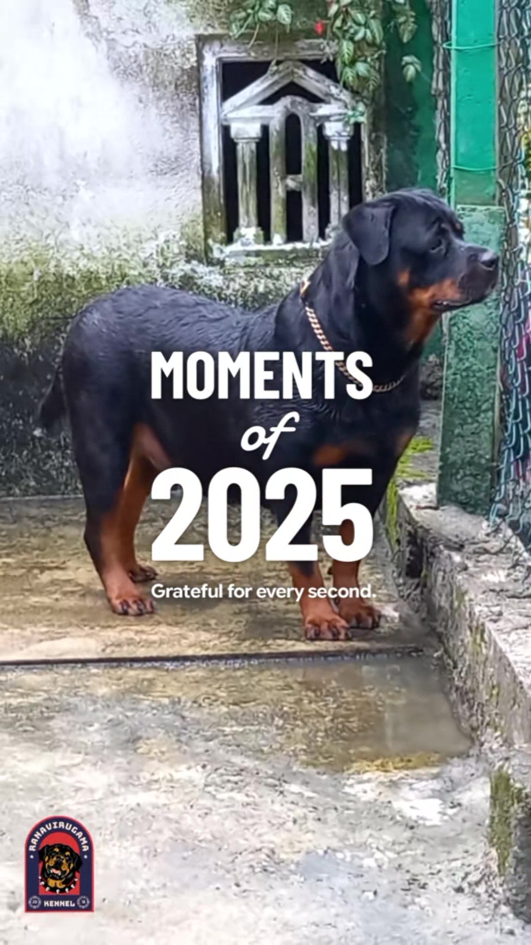 @Ranavirugama Kennel