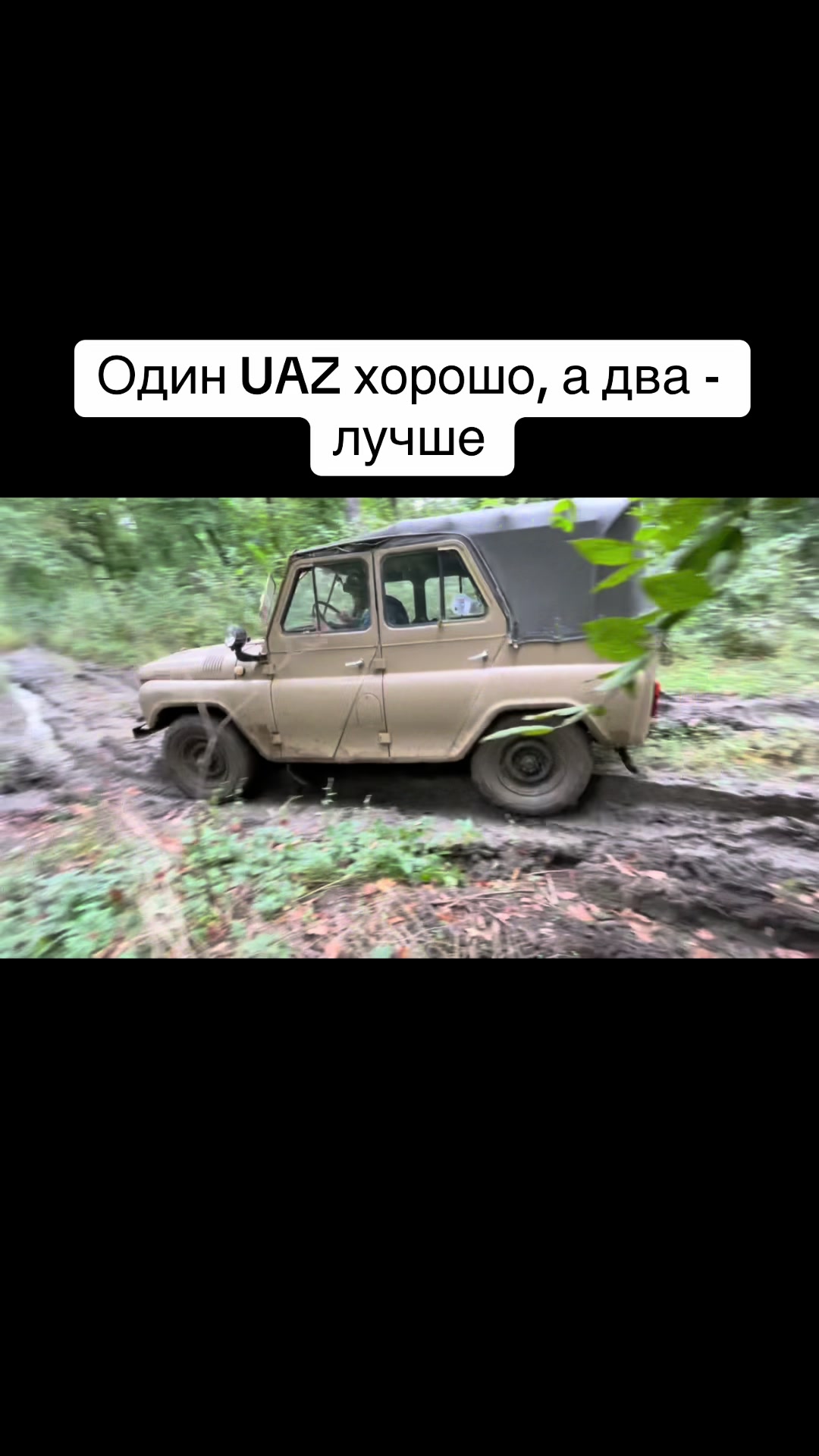 @qzece