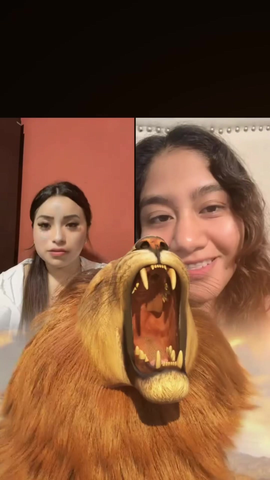 @Liz🎀🌷🧸🫶