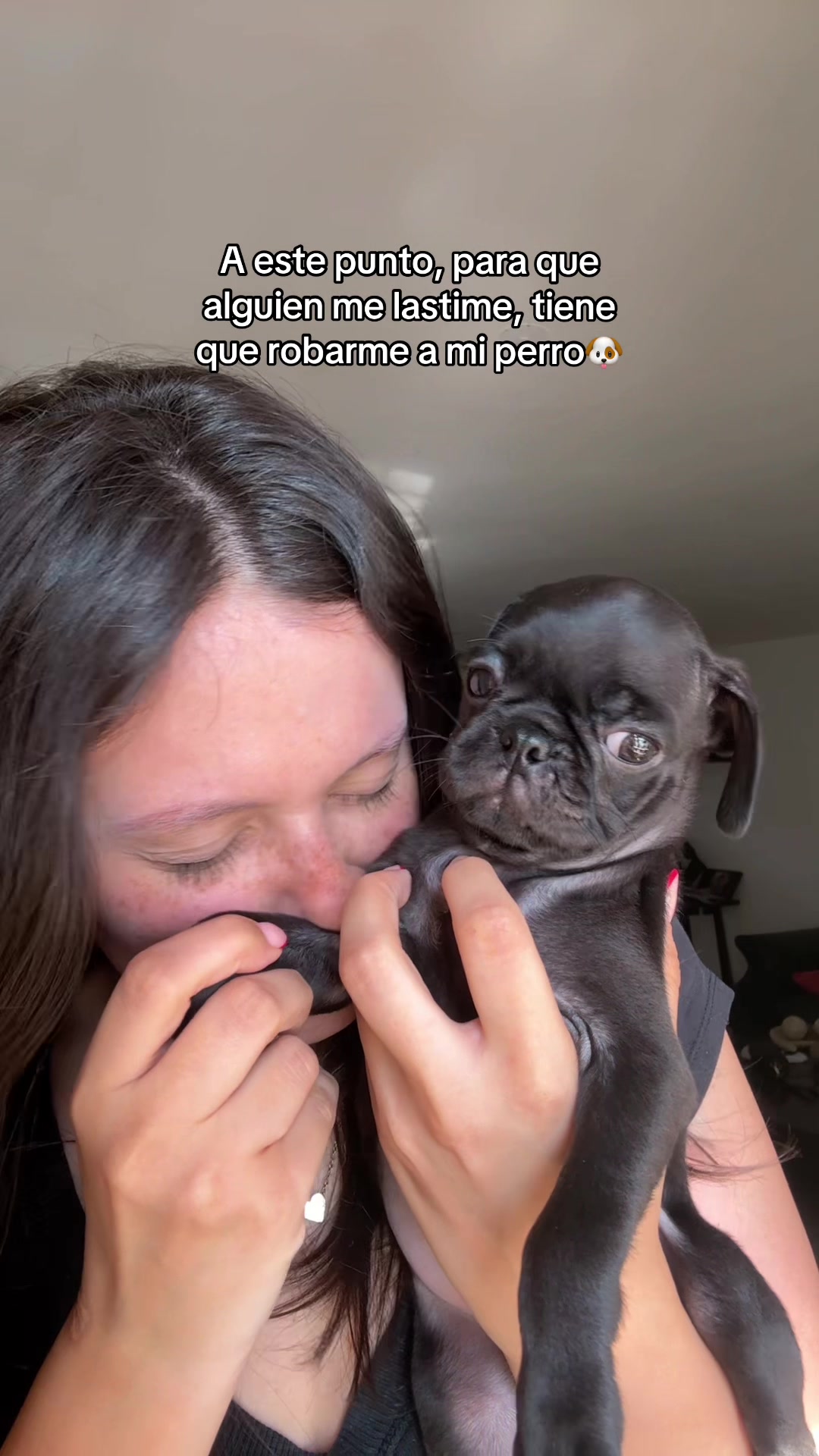 @BRUNNA PUG | PET LIFESTYLE 🐾