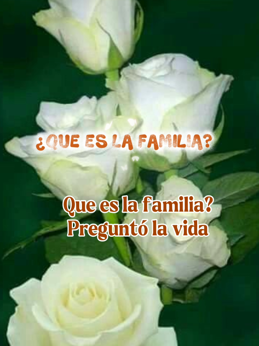 @erikcagarcia287