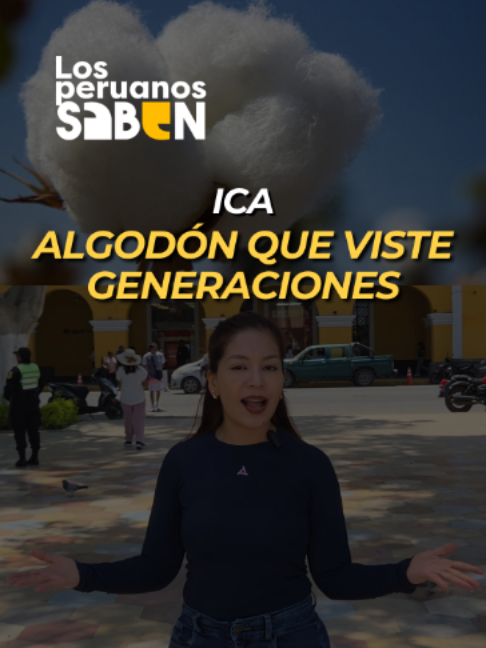 @REDES