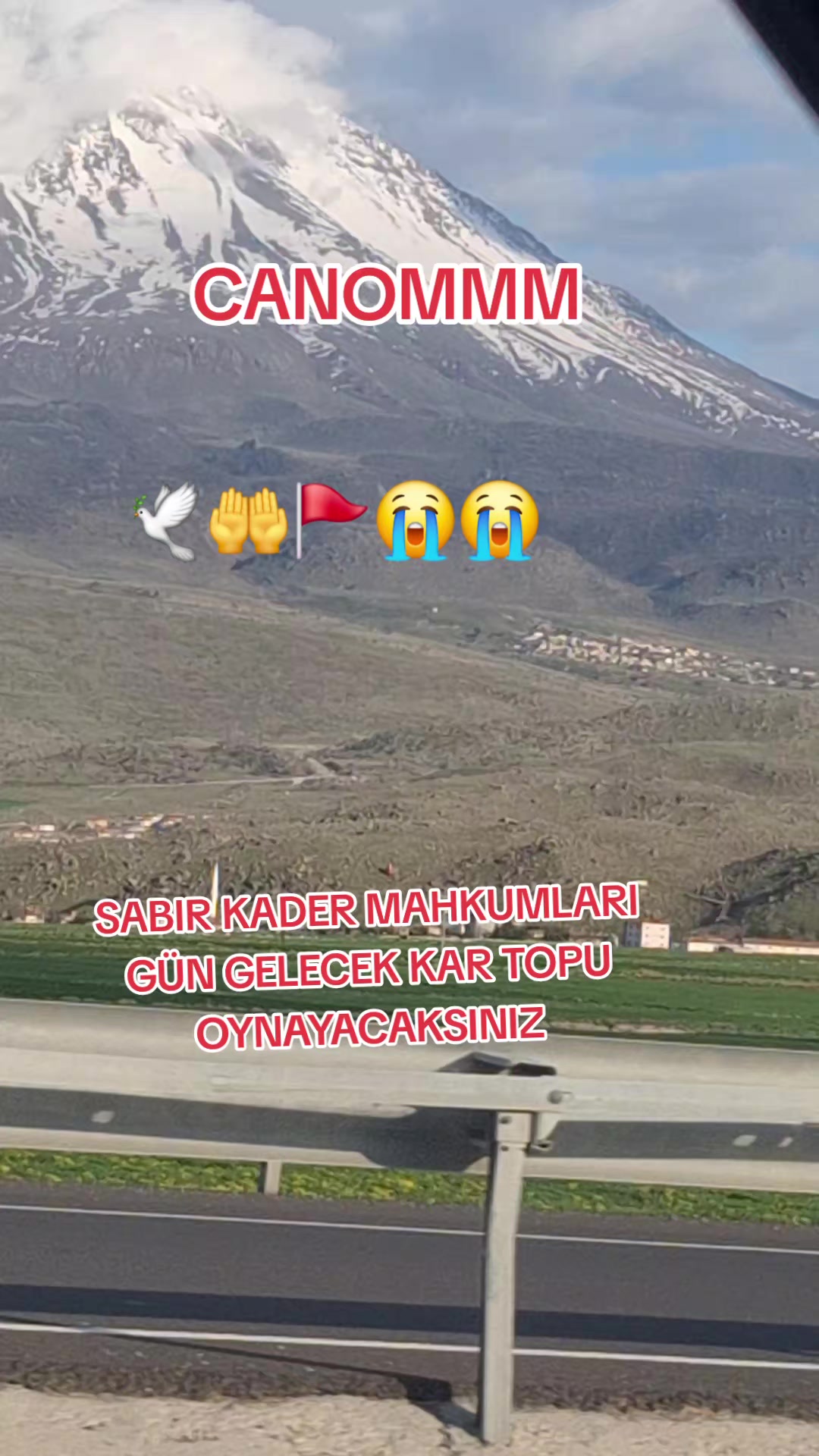 @can_gul0102