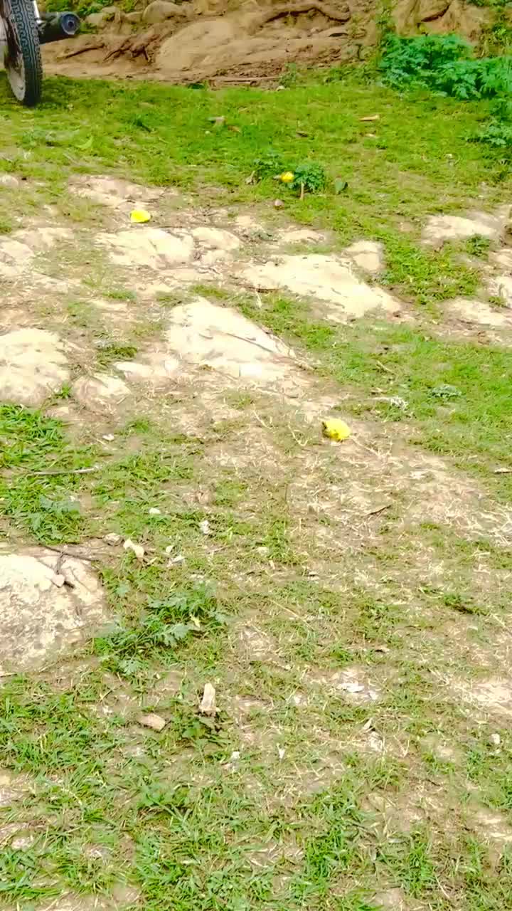 @👑JANI👑