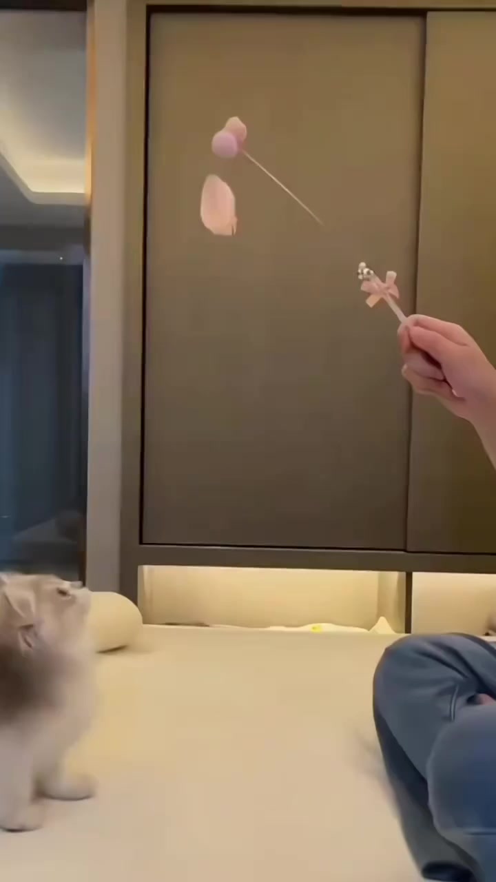 @trạm cute
