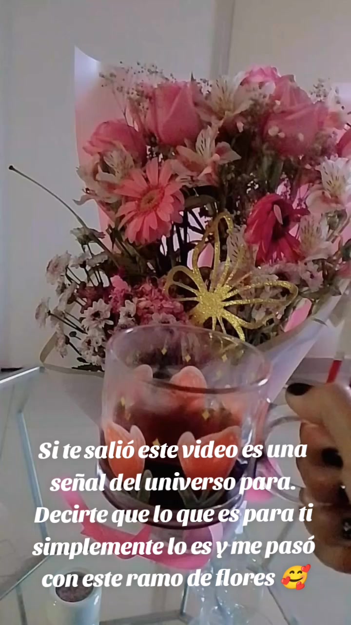 @🌵🪄 Evelyn 🌼 💫
