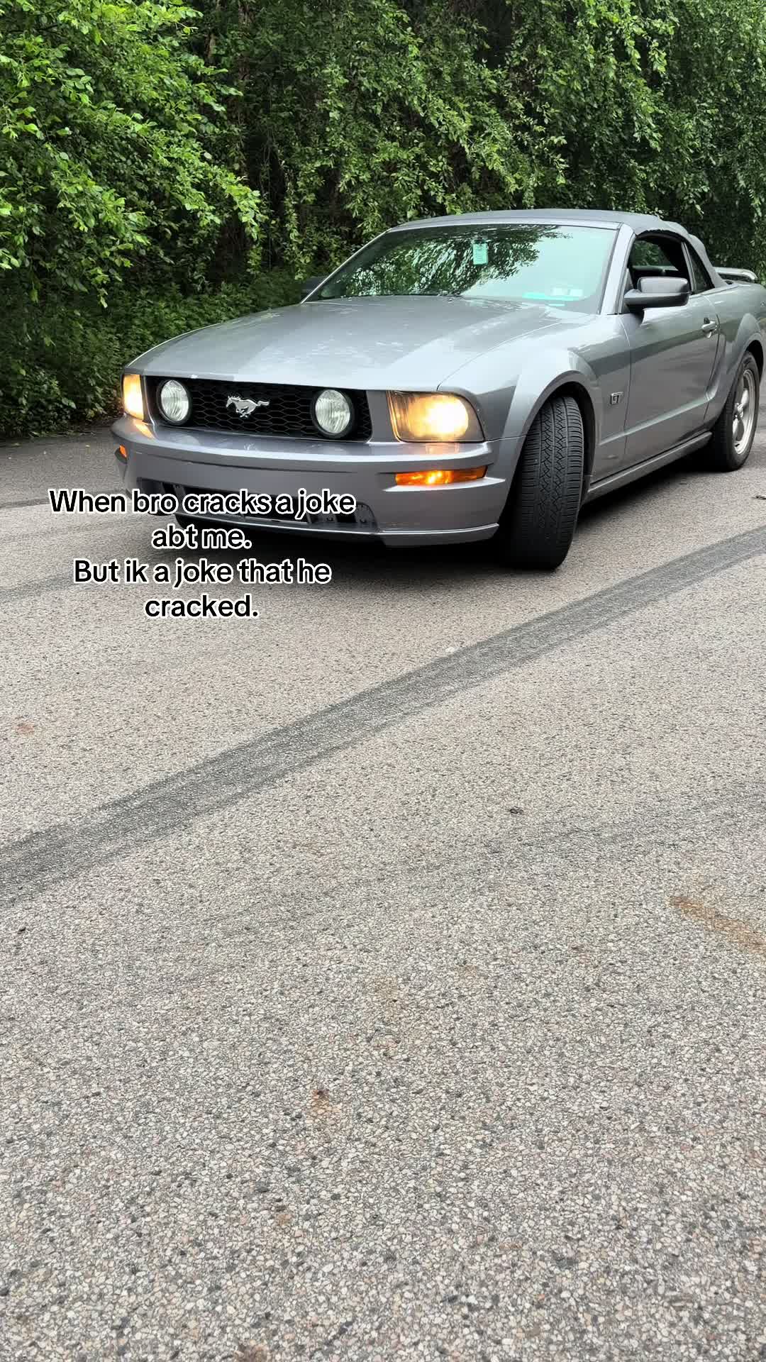 @𖣂𝓉𝓇𝒶𝓅𝒹𝒶𝒹𝒹𝓎.𝒶𝒿𖣂🪶