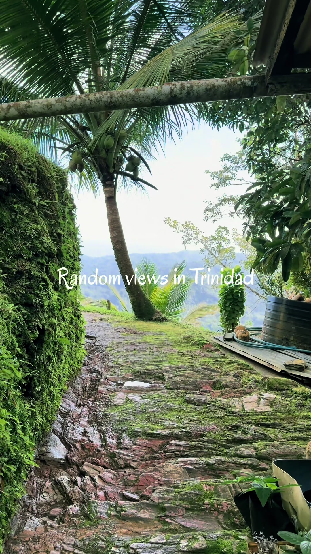 @Trini Surfer™️🇹🇹