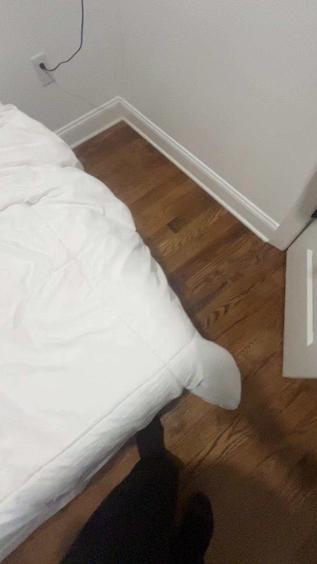 @EL_Gatokike
